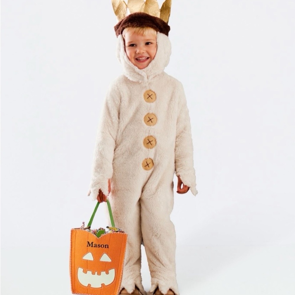 Pottery Barn Where The Wild Things Are Max Halloween Costume